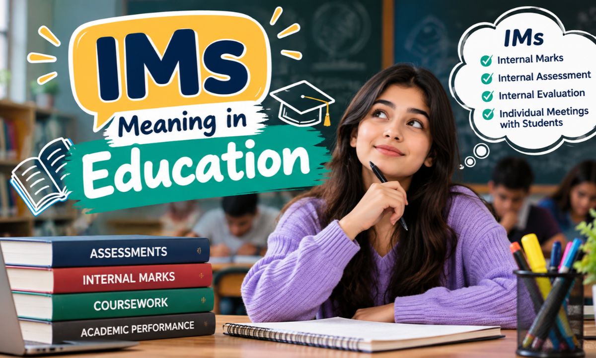 IMs meaning in education”