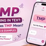 TMP Meaning in Text What Does TMP Mean Uses & Examples