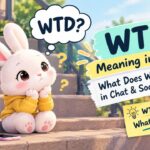 WTD Meaning in Text What Does WTD Mean in Chat & Social Media