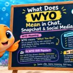 WYO Meaning in Text What Does WYO Mean in Chat, Snapchat & Social Media