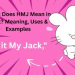 What Does HMJ Mean in Text Meaning, Uses & Examples